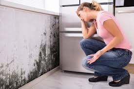 Best Forensic Mold Investigation  in Oceanside, CA